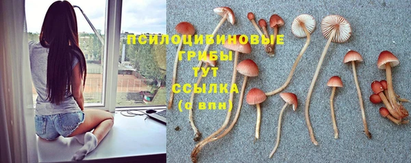 молекула духа Балахна