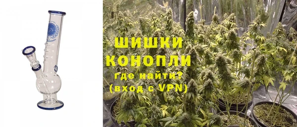 молекула духа Балахна
